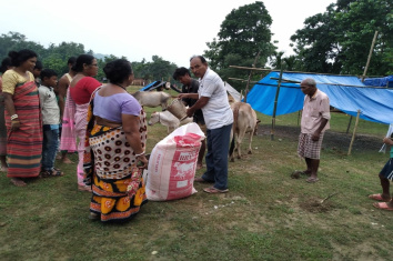 Animal fodder distribution in the flood effected areas