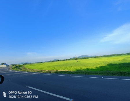 road_view