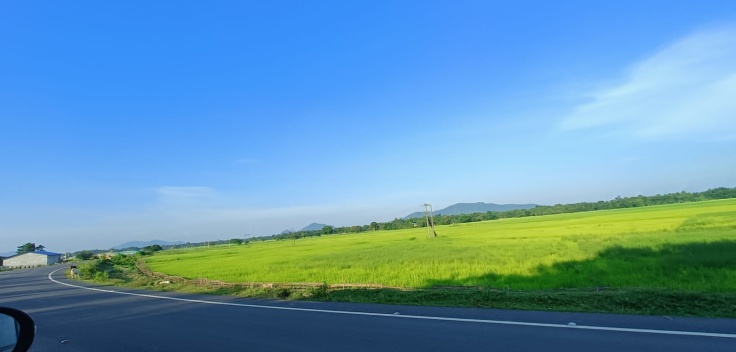 road_view